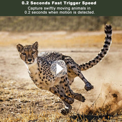 4K Wi-Fi Trail Camera 4G LTE 120° Wide Angle 14MP Motion Detection Night Vision IP66 Waterproof 4G LTE Game Hunting Camera with Solar Charging Panel for Outdoor