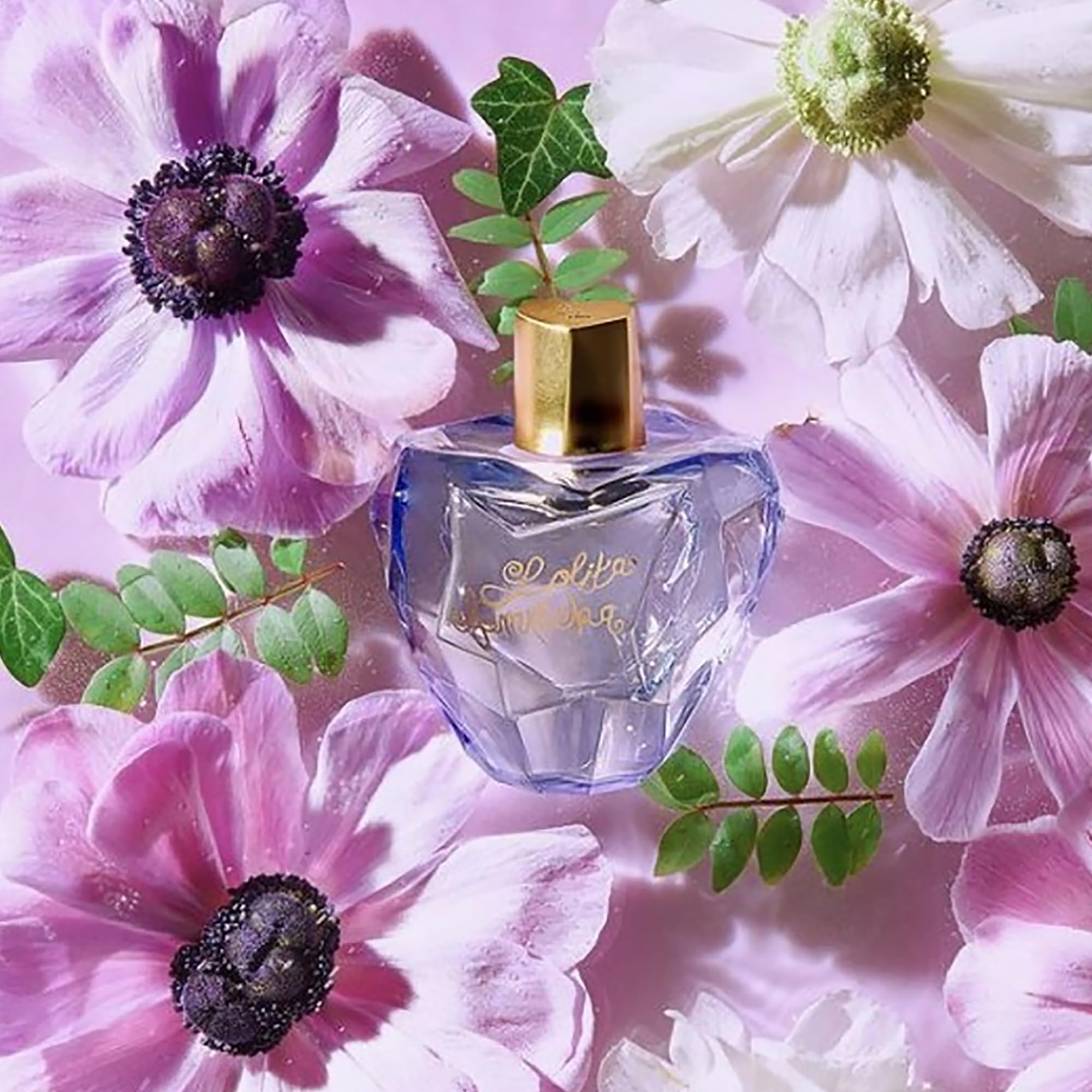 Jimmy Choo Blossom B&m Jimmy Choo Blossom 100ml B&m 2025