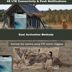 4K Wi-Fi Trail Camera 4G LTE 120° Wide Angle 14MP Motion Detection Night Vision IP66 Waterproof 4G LTE Game Hunting Camera with Solar Charging Panel for Outdoor
