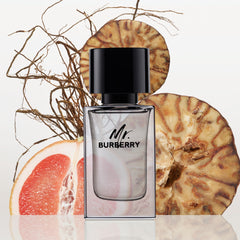 Burberry Perfume - Burberry Mr. Burberry - Perfume for Men 50 ml - EDT Spray