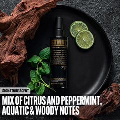 STMNT STATEMENT GROOMING GOODS Definition Spray 200 ml | Strong Texture and Definition | Semi-Matte Finish | Does Not Dry Out | Grip and Volume