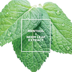 L’Oréal Paris (Conditioner) - EverPure Scalp Care + Detox Sulphate Free Conditioner for Colour-Treated Hair, Invigorates Scalp and Renews Hydration, Menthol and Neem Leaf Extract, 251mls