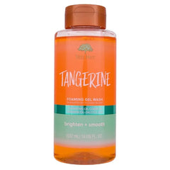 Tree Hut Foaming Gel Wash, Hydrating & Moisturizing Body Wash with Shea Butter & Nourishing Essential Oils, Daily Cleanser for Soft Smooth Skin