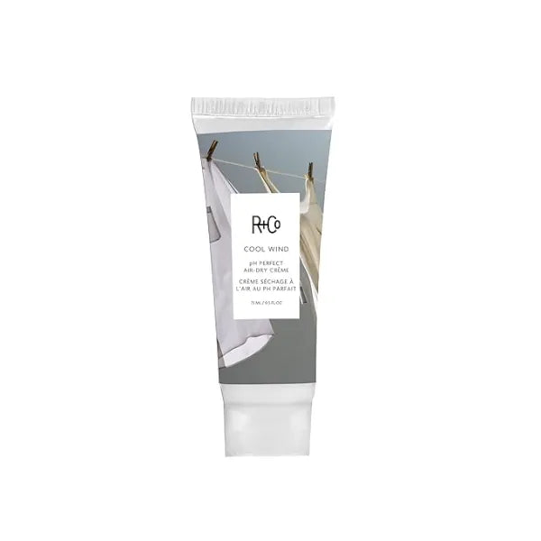 R+Co Cool Wind pH Perfect Air Dry Hair Cream  Hydrates + Tames + Softens  Vegan