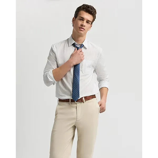 Express Regular Striped Cotton Long Sleeve Poplin Shirt