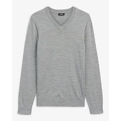 Express MerinoTouch V Neck Sweater
