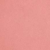 GOLDEN ROSE NUDE LOOK FACE BAKED BLUSHER PEACHY NUDE