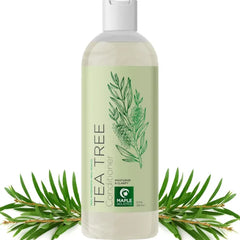 Maple Holistics Tea Tree Conditioner for Dry Hair - Tea Tree Oil Conditioner for Oily Hair and Sulfate Free Conditioner for Dry Hair - Cleansing Conditioner