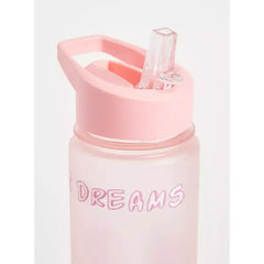 Princess Print Sipper Water Bottle - 750 ml pink