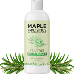 Maple Holistics Tea Tree Conditioner for Dry Hair - Tea Tree Oil Conditioner for Oily Hair and Sulfate Free Conditioner for Dry Hair - Cleansing Conditioner