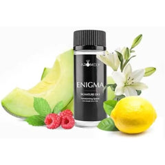 AROMELY Enigma - Inspired by Edition Hotel Hotel Collection Diffuser Oil Scent - Fragrance from 5-Star Hotels - Luxurious Notes of Melon, Lily, Jasmine and Raspberry