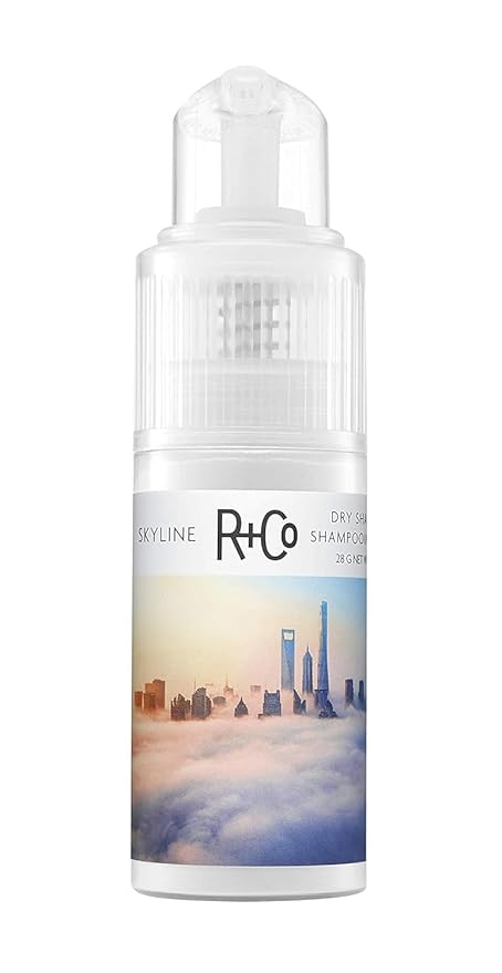 R+Co Skyline Dry Shampoo Powder Intense Oil Absorption Revives Volume, Hair Texture and Grip TSA Approved 1 Fl Oz