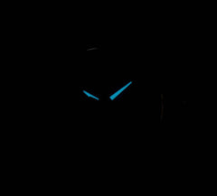 CITIZEN Women's Analogue Eco-Drive Watch with a Titanium Strap