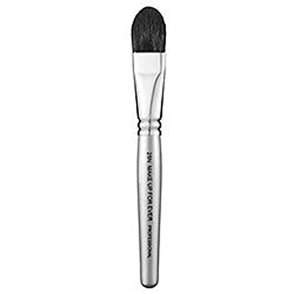 Make Up For Ever HD Brush 25N