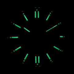 Citizen Men's Analogue Automatic Watch Tsuyosa