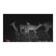 Wildgame Innovations Terra Extreme Megapixel IR Trail Camera