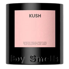 Boy Smells Kush Scented Candles for Men and Women 8.5 oz Vegan Soy Wax Candle Blend Aromatic Candles for Home with Cannabis, Tulip and Amber 50 Hour Burn