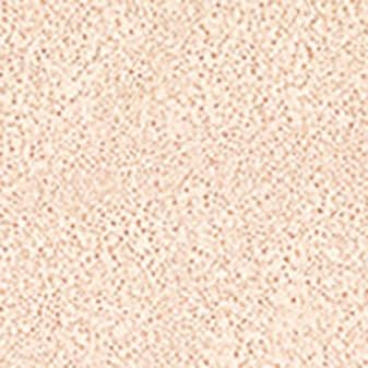 JUNG SAEM MOOL Essential Skin Nuder Cushion (Fair) | Refill | Natural Finish | Buildable Coverage | Makeup Artist Brand