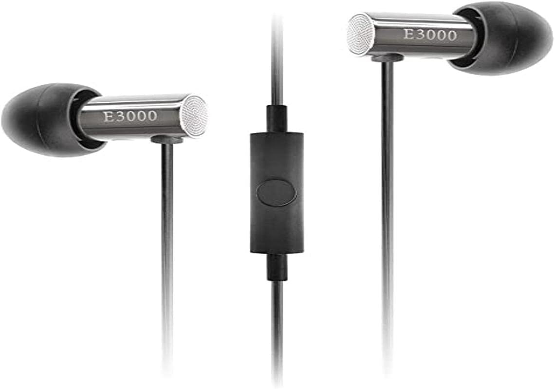 Final Audio E3000C In-Ear Headphones, Stainless Steel With Mic