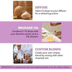 MAJESTIC PURE Lavender Essential Oil - Huge 118 ml with Glass Dropper | 100% Pure and Natural Lavender Oil | Premium Grade Essential Oils for Diffusers, Skin, Aromatherapy, Massage - Lavender1
