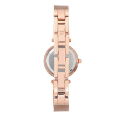 Anne Klein Women's Genuine Diamond Dial Mesh Bracelet Watch, Quartz Movement