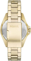 Fossil Dalton Three-Hand Stainless Steel Wrist Watch for Men, Green/Gold