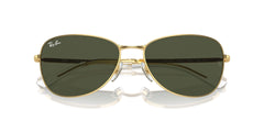 Ray-Ban Rb3733 Square Sunglasses