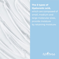 ISNTREE Hyaluronic Acid Water Sleeping Mask