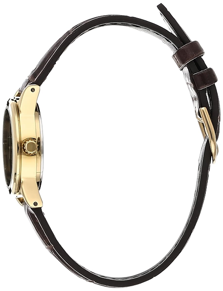 Casio Watch Brown/Black/Gold