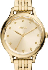 Fossil BQ3863 Ladies Laney Watch