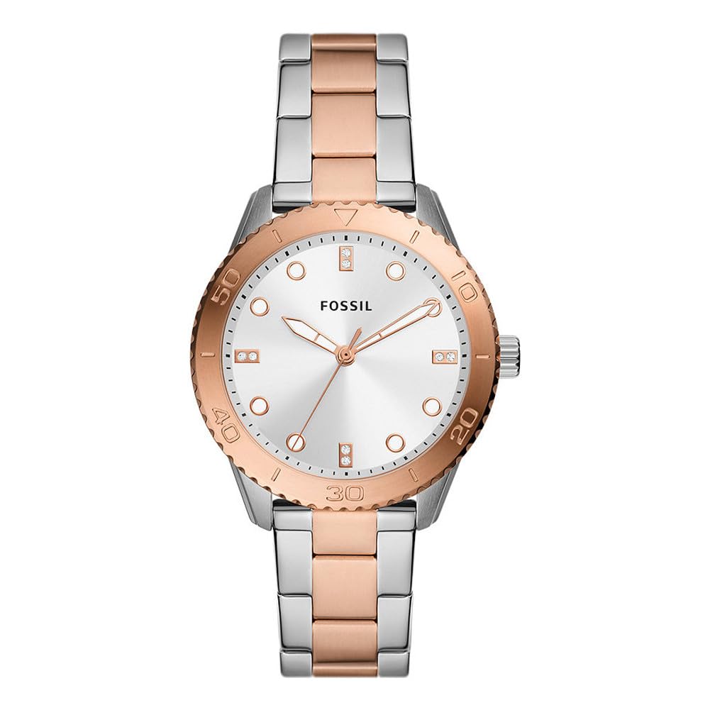 Fossil BQ3887 Ladies Dayle Watch