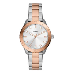 Fossil BQ3887 Ladies Dayle Watch