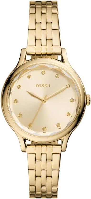 Fossil BQ3863 Ladies Laney Watch