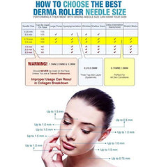 Dr Pen 25 Pieces per Box Needle Cartridge For Derma A7 Size 12