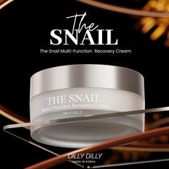 DillyDilly | Korean Skincare All in One The Snail Multi-function Recovery Cream | Face Moisturizer with Snail Mucin Extract, Anti-wrinkles, Acne Scars and Dark Spots Treatment, Made in Korea,100g