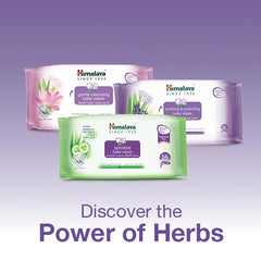 Himalaya Since 1930 Gentle Cleansing Baby Wipes Alcohol & Paraben Free for Sensitive Skin - 48 wipes X 4 packs (192 Wipes)