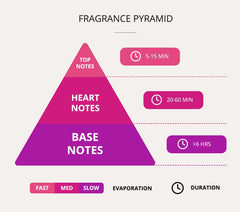 Faiz Niche Mojo Extrait De Parfum for Men and Women 100ml
