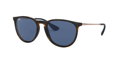 Ray-Ban womens 0RB4171 Sunglasses (pack of 1)
