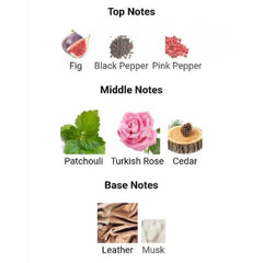 HolyOud PERFUMES INCENSE Holy Oud Patchouli Bouquet Unisex Eau De Parfum 100ML Long Lasting Fragrance For Men & Women