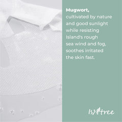 ISNTREE Spot Saver Mugwort Gauze Pack of 10 Sheets - Korean Skin Care Face Sheet Treatment