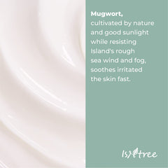 ISNTREE Mugwort calming cream 50ml 1.69 fl.oz | Soothes ensitive skin | Balances oil and moisture