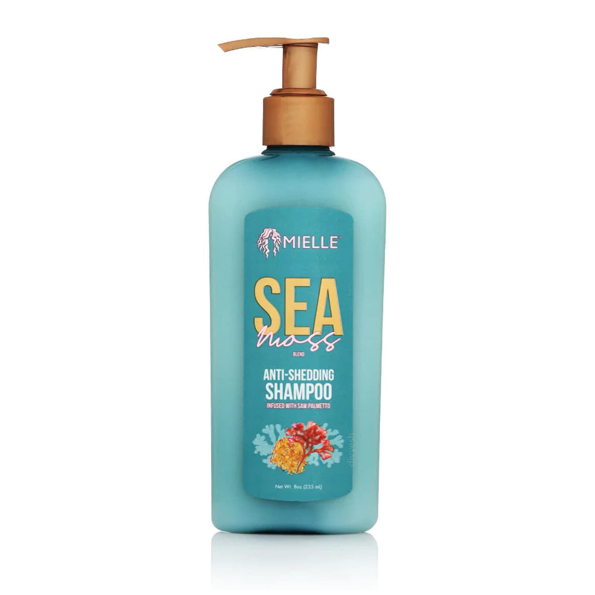 Mielle Organics Mielle/Sea Moss/Anti-Shedding Shampoo 8oz / (Pack of 1)