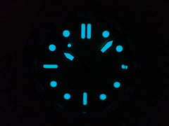 Citizen Marine 1810 Eco-Drive Men's Watch