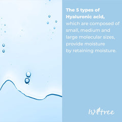 Isntree Hyaluronic Acid Toner Plus 200ml 6.76 fl.oz | Provides moisture to dry skin deeply