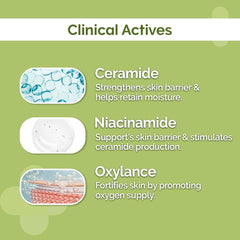 The Derma Co 4% Ceramide Barrier Repair Moisturizer | Niacinamide & Oxylance I Repairs & Strengthens Skin I Improves Skin texture I Lightweight Cream I 24 Hrs Moisturization | For All Skin Type - 50gm