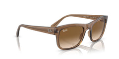 Ray-Ban Rb4428 Square Sunglasses