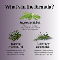 Maple Holistics, Sage, Special Formula Shampoo, 16 oz (473 ml)