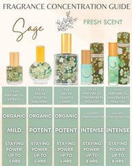 SAGE Roll On Perfume Oil by The Sage Lifestyle, 1/4 Oz/7 ml