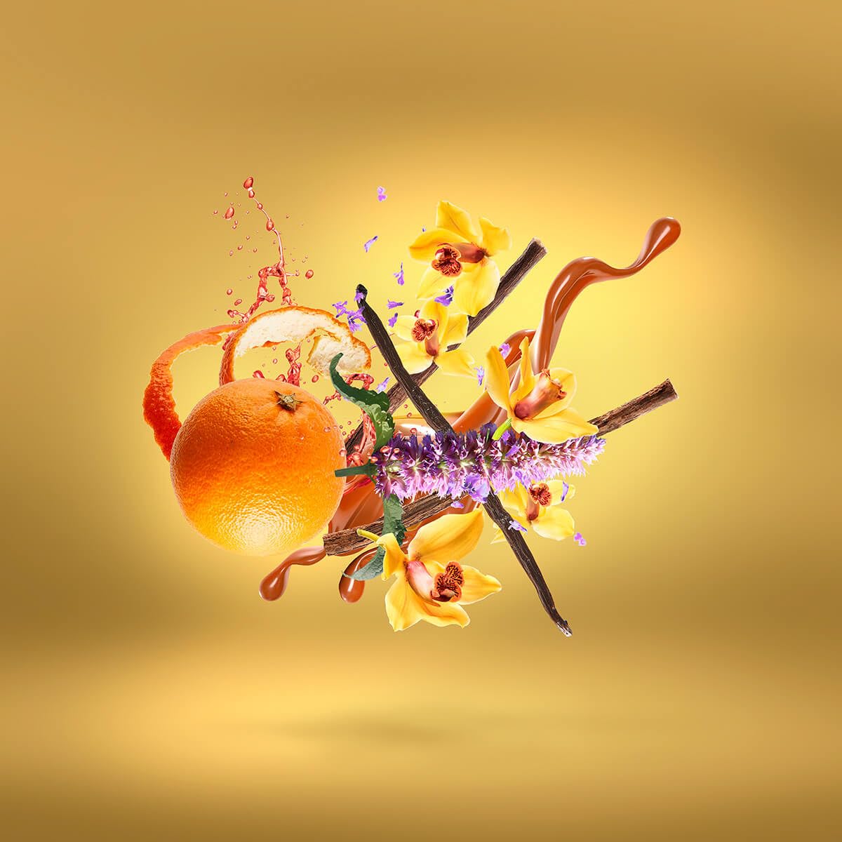 Casamorati Lira by Xerjoff - perfumes for women - Eau de Parfum, 100ml