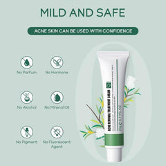 Excefore Acne Treatment Cream, 30 Day Supply, Treatment for Face with Aloe Essence, Gentle Skin Care for Acne Prone Sensitive Skin, Acne Cream Back Acne Treatment Cream for Teens & Adults, 20g Tube